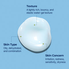 Torriden DIVE IN Hyaluronic Acid Soothing Cream 100ml (3.38 fl. oz) | Revitalizing Facial Moisturizer for Sensitive and Dry Skin | Hyaluronic Acid, Panthenol, Allantoin
